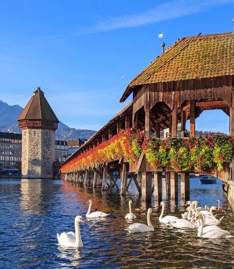 lucern, kaplický most brzy ráno - lucern - stock snímky, obrázky a fotky