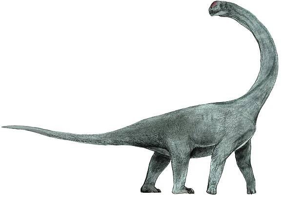 Abrosaurus