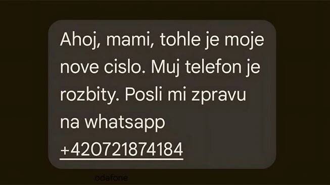 Ahoj, to jsem já, mám nové číslo a ty mi pošli platbu v eurech. Přes WhatsApp se šíří nový typ podvodu | Zdroj: PavlikKaterina