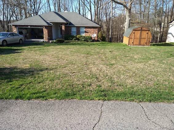 Our Home and Yard