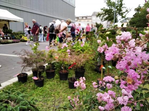Letní Flora Olomouc se ruší. Důvodem je covid a zdražování