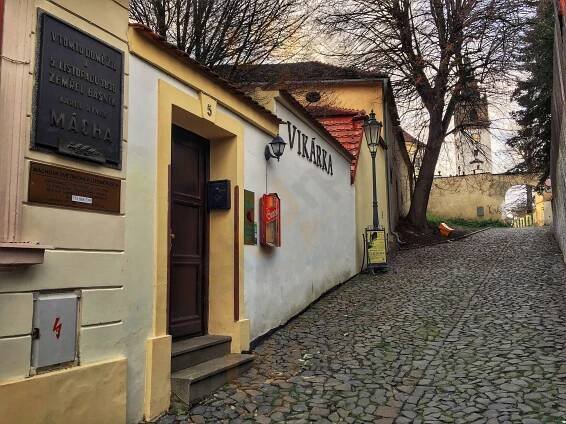 Vinárna Vikárka - Restaurace a ubytování v Litoměřicích foto 3