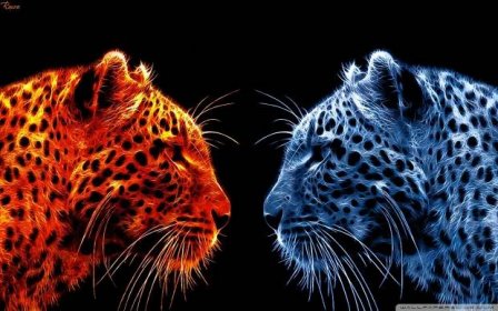 Fire And Ice Cheetah Wallpaper