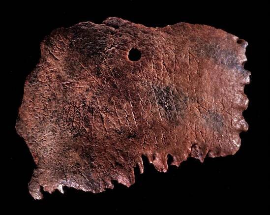 Ribe skull fragment