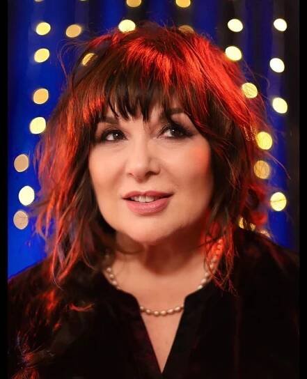 Ann Wilson Announces FIERCE BLISS Solo Album » The HEART Gallery