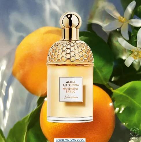 Aqua Allegoria Mandarin Basilic
