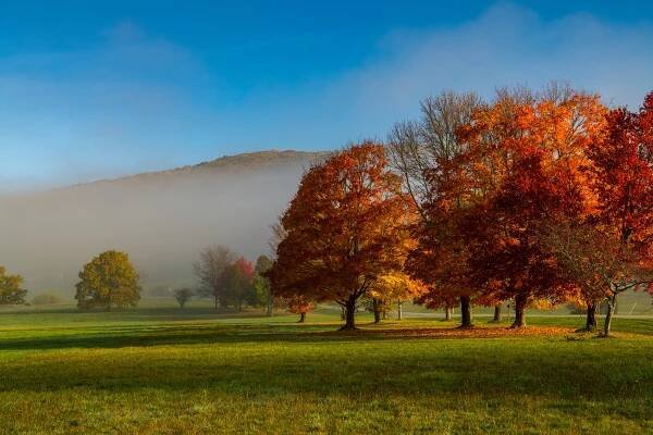 Allegany State Park-Quaker Area | Salamanca, NY 14779
