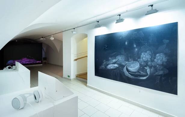 Nový pokus o maximální přiblížení KE 3171 O 96 | Interpretace zátiší | Výstavy | GOČÁROVA GALERIE