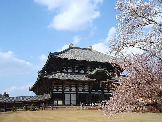 🥇 Nara Park: Ancient Temples and Deer in Japan’s Historic First Capital - KeiMade Blog - Arts & Crafts inspired by Japanese