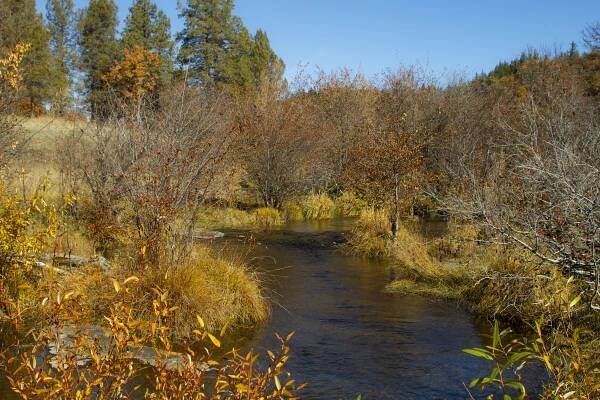 Jenny Creek