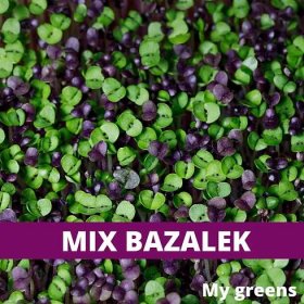 Mix Bazalek mikrobylinky semena 5g - My greens