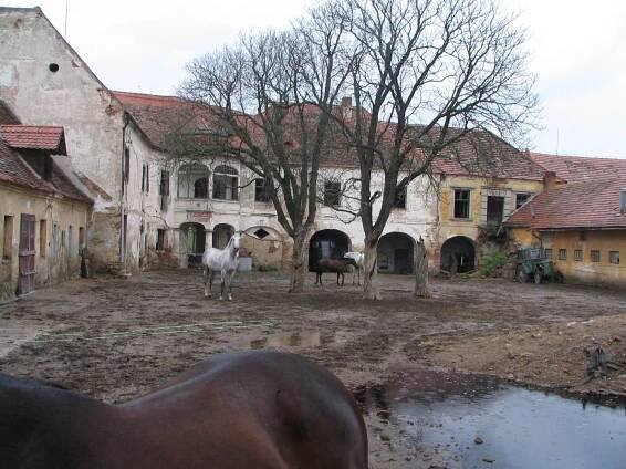 Rešice