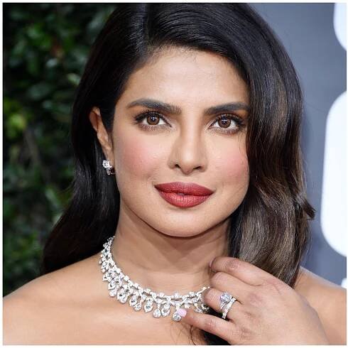 Everything We Know About the Wild, Wild Country Movie Starring Priyanka Chopra