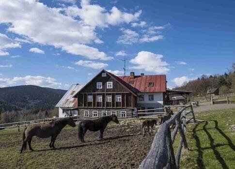 Farma Hucul