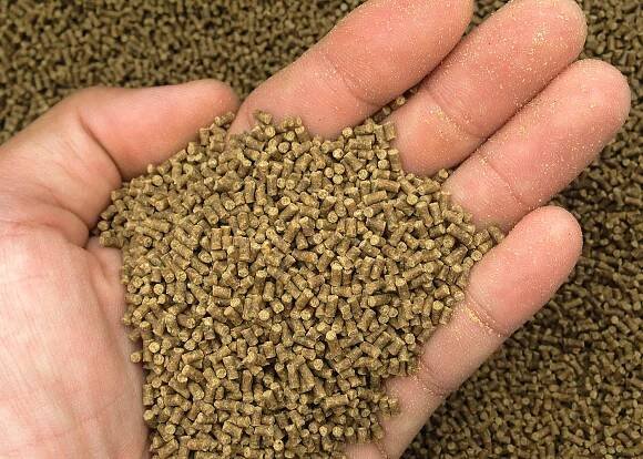 Royals Marine | Premium Quality Feeds for Shrimp