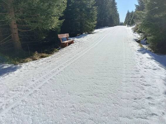 Aktuální stav běžeckých tras | Krušné hory aktivně