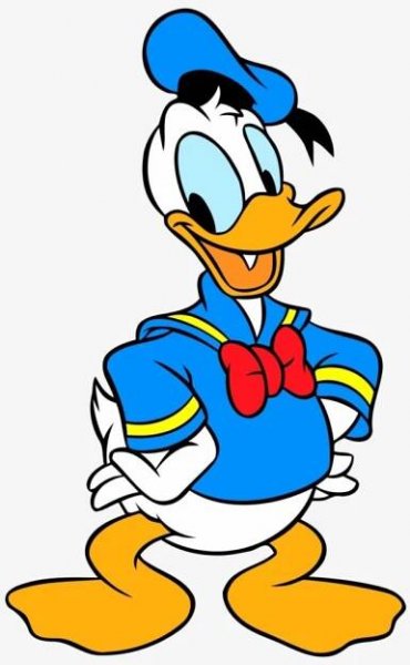 Kačer Donald: Vztekloun bez kalhot trumfne i Mickeyho
