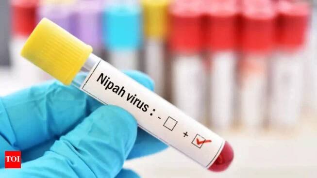 Nipah alert in Kerala: 609 people on contact list in 4 districts; 8 in ICU