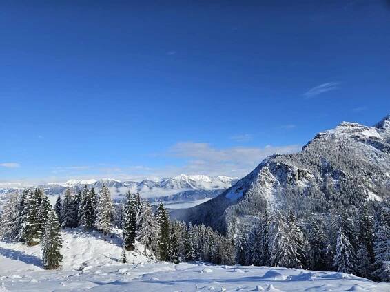Apartmány Spitzegel - apartmán - 27 Obervellach, Hermagor - Rakouské Alpy - foto 27