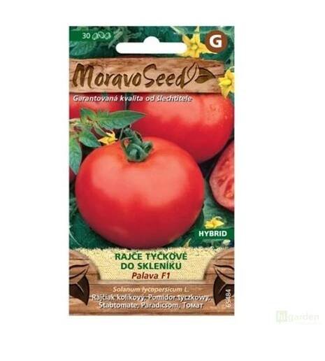 Semínka MoravoSeed Rajče tyčkové PALAVA F1 - hybrid, do skleníku, 30s - Higarden.cz