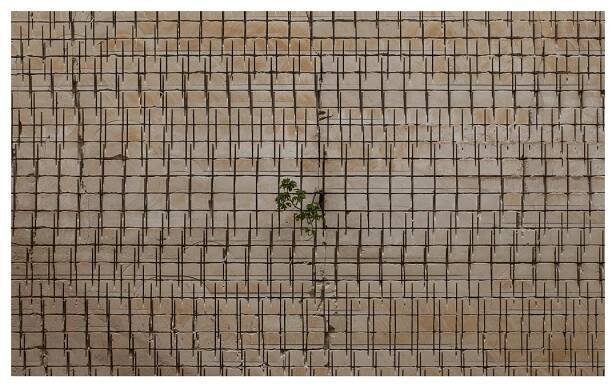 Piedras de silencio (2016) | Rafael Navarro