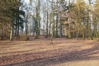 Rokycany chtějí revitalizovat přírodní park Stráň | Plzeň