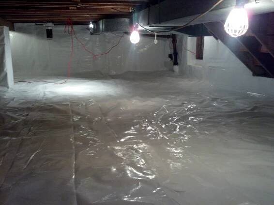 Our Services – Bulldog Painting LLC