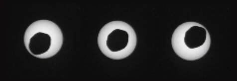 Phobos přechází přes Slunce. Credit: NASA