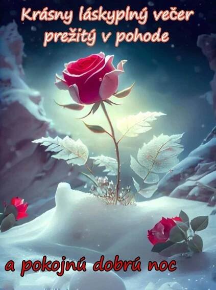 a red rose sitting on top of a snow covered ground with the words krissy lakskyling veter preetity v plohde