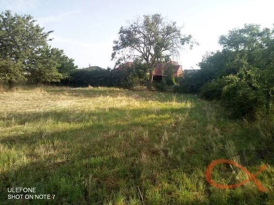 Pronájem Pozemek, Bohuslavice, okres Prostějov