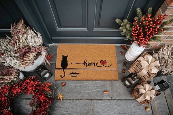 Hanse Home Collection koberce Rohožka Kočka 106200 - na ven i na doma - 40x70 cm