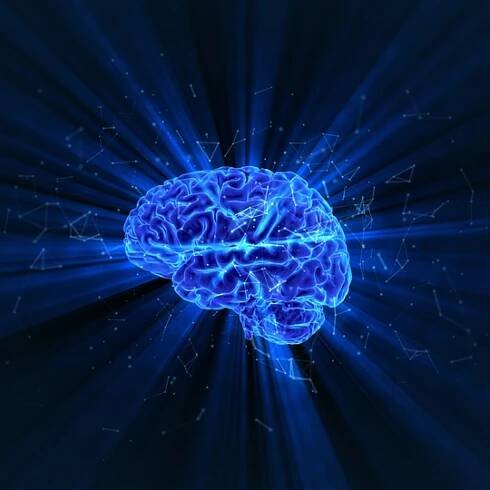 Brain Replaying Waking Memories During Sleep Recorded by Scientists