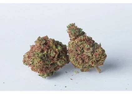 THC X Pineapple Express