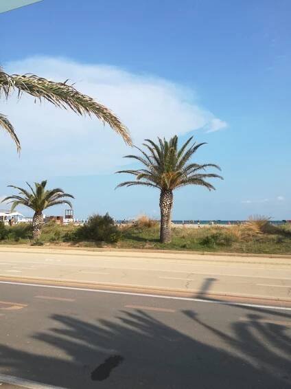 Cagliari - hlavní město Sardinie obklopené plameňáky