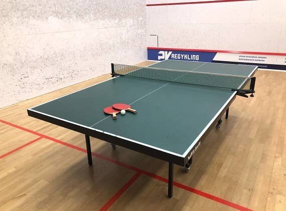 Stolní tenis{lang}Table tennis