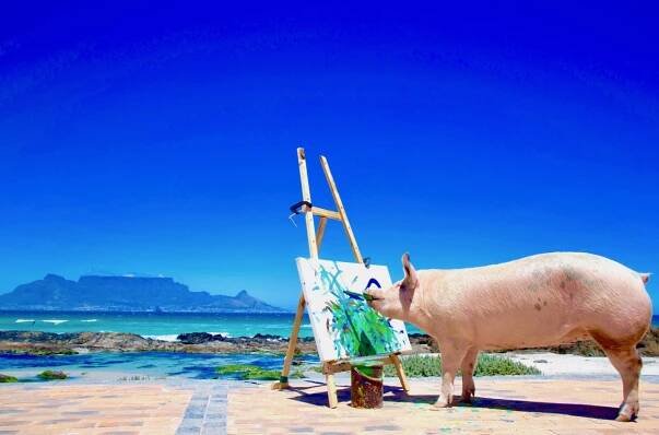 pigcasso