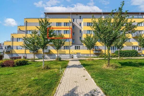 Jaroslava Holečka, Kladno - Kročehlavy