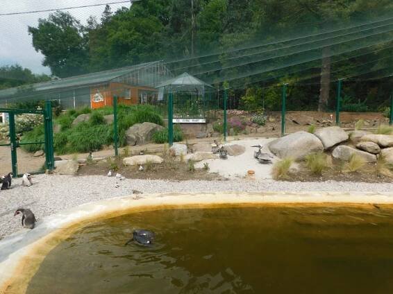 Štěňátka na výletě v ZOO a oslava Dne dětí. | Mateřská škola Štěnovice