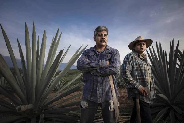 Luis Enrique Juárez Ramírez - Maguey Melate