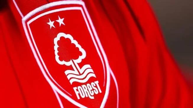 Zoom in of Nottingham Forest badge