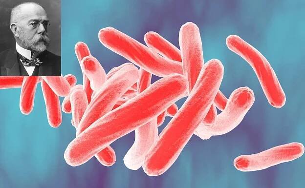 Mycobacterium tuberculosis