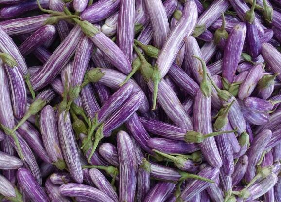 Aubergine / Eggplant — Authentic World Food