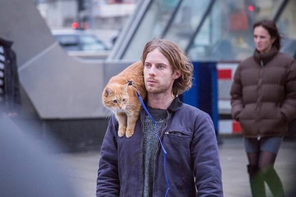 kocour Bob, Luke Treadaway - Kocour Bob - Z filmu