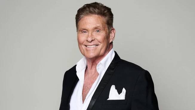 David Hasselhoff Health Update After Wheelchair Sightings