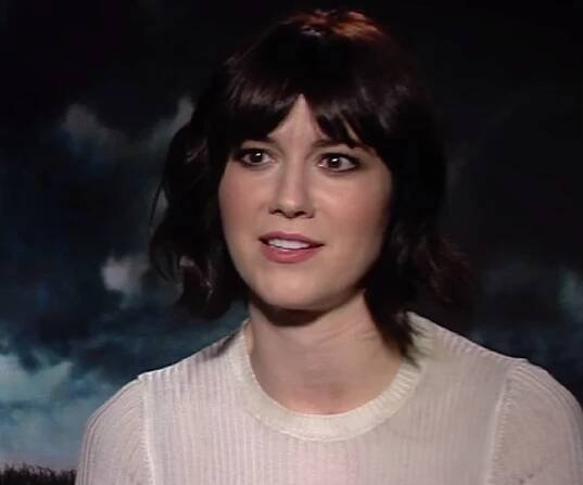 Mary Elizabeth Winstead Biography - Facts, Childhood, Family Life & Achievements