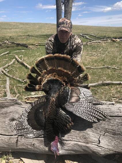 A man is standing next to a large turkey on a log.