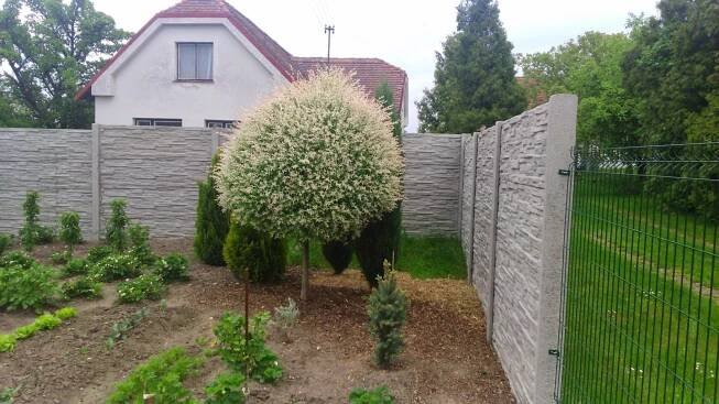 Objevte přednosti betonových plotů
