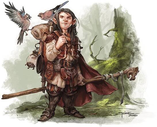 Druid