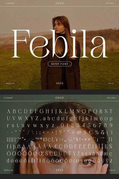 Febila Font - The Suppply Co