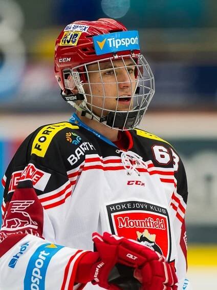 Mountfield HK, a.s. | Fotogalerie | Hráč | Jaroslav Dvořák